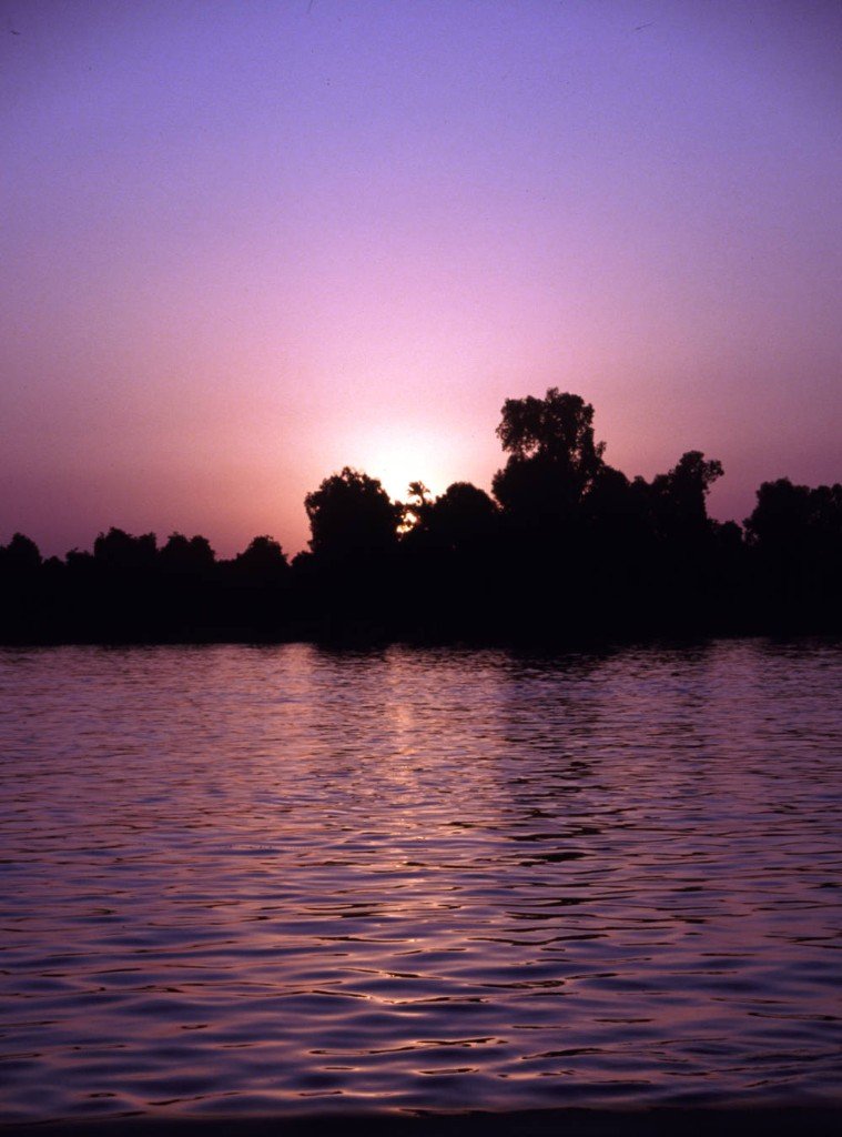 Sunset over the Nile with silhouetted palms and magenta sky reflected on the water.