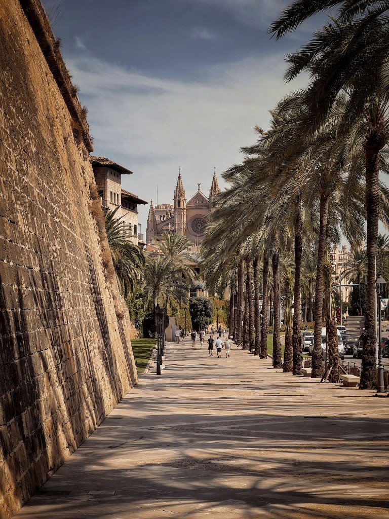 The palm-lined promenade and fortress wall leading toward La Seu cathedral in Palma.