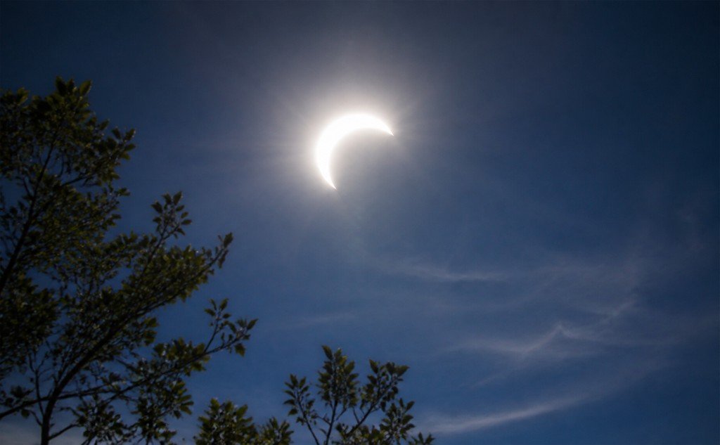 Partial solar eclipse: a brilliant white crescent Sun in a deep blue sky above silhouetted trees, with intense glare showing how much light remains during partial phases.