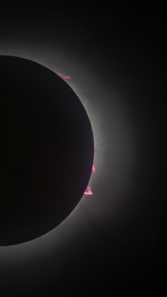 Close view of totality showing the black lunar disk, the white solar corona, and pink prominences along the Sun's edge.